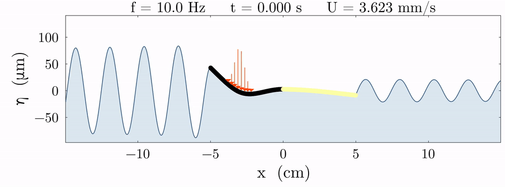 Numerical simulation of a flexible raft and its asymmetric wake